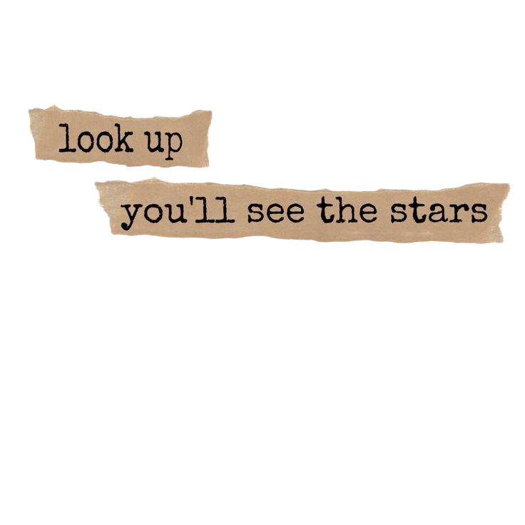 nb2-look-up