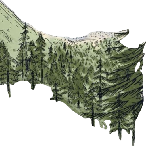pines