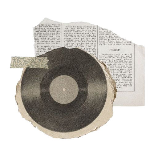 vinyl